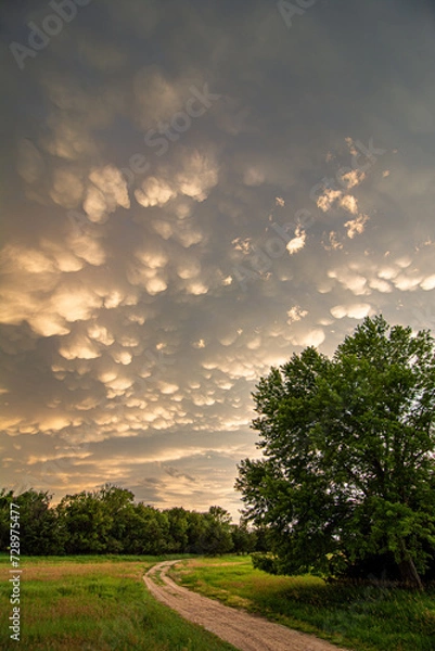Fototapeta Summer storm