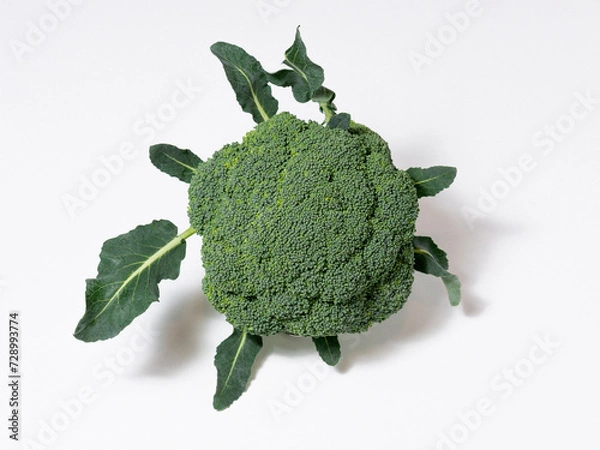 Obraz broccoli on a green leaf