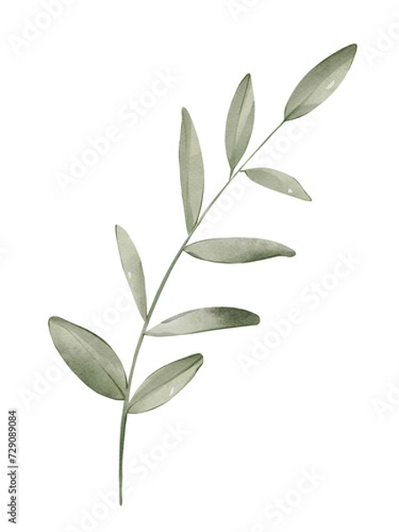 Obraz Watercolor eucalyptus