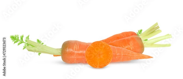Fototapeta Fresh carrot isolated on white background, front view