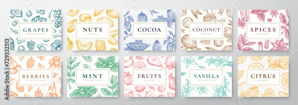 Fototapeta Hand Drawn Nuts, Spices, Berries, Fruits and Coconut Cards Set. Abstract Vector Sketch Cover Backgrounds Collection with Classy Retro Typography. Food Patterns Collection Isolated