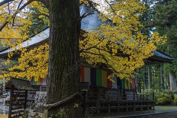 Obraz 日本　宮城県仙台市太白区秋保町の秋保大滝近くにある秋保大滝不動尊（滝本山西光寺）と紅葉