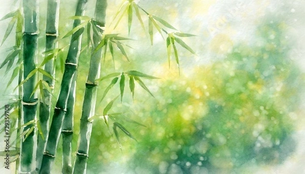 Fototapeta 爽やかな青竹のイラスト