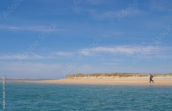 Fototapeta Beachcomber