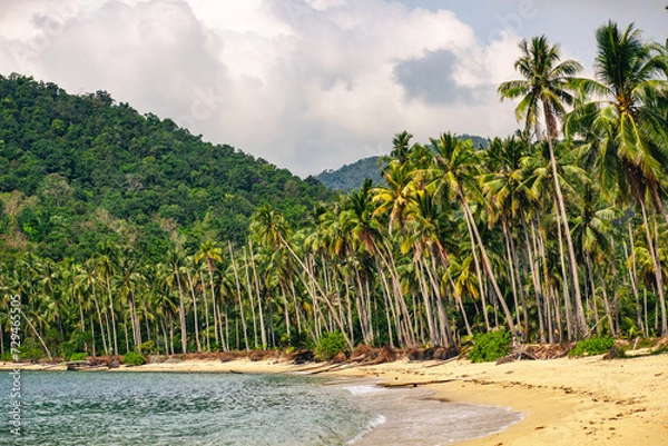 Obraz beach with palm trees