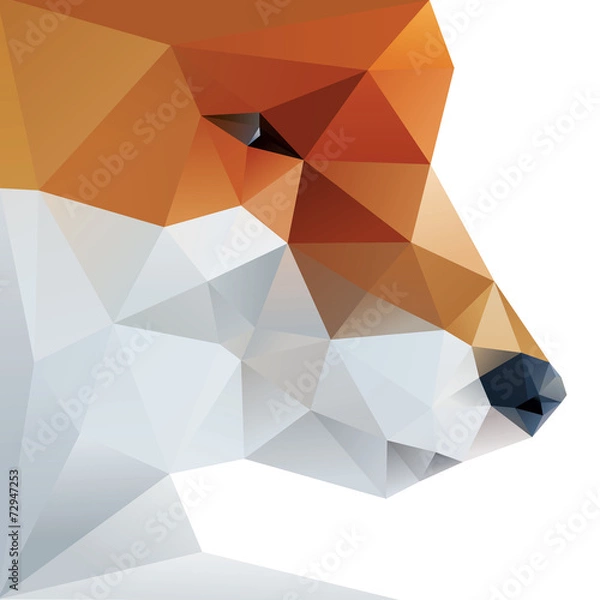 Fototapeta Streszczenie Fox na białym tle na białym tle