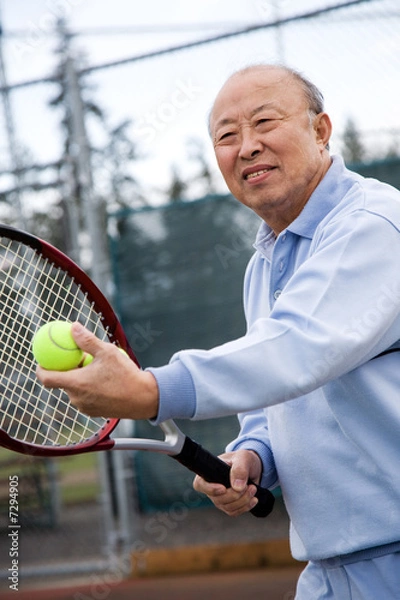 Obraz Senior tennis player