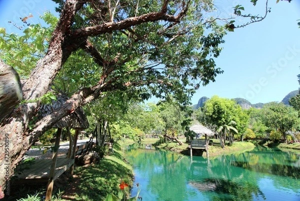 Fototapeta Dschungel