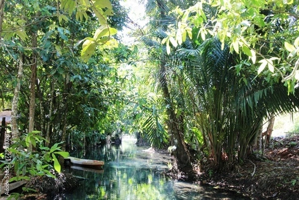 Fototapeta Dschungel