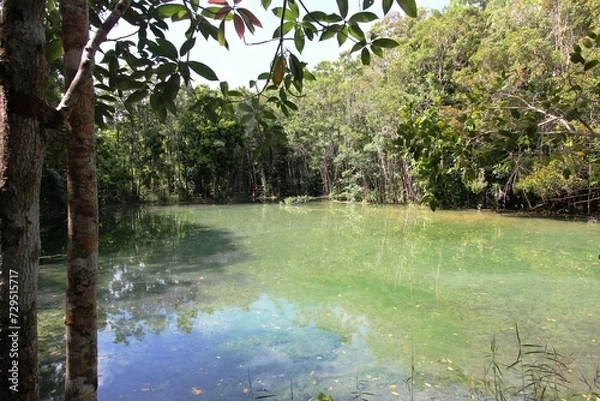 Fototapeta Dschungel