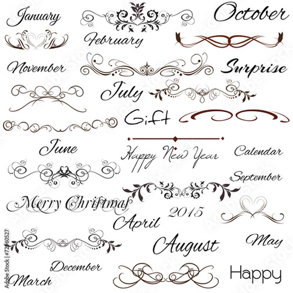 Fototapeta vector set: calligraphic design elements and page decoration