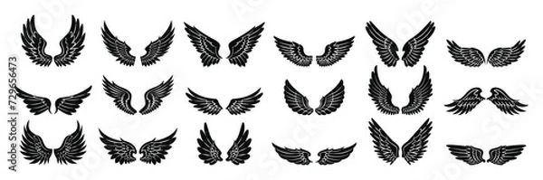 Fototapeta Set black and white simple wing icons vector set and design feather wings bundle.