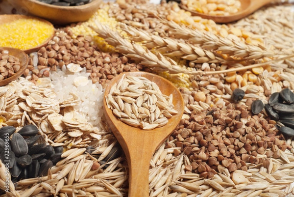 Obraz Kolekcja zbóż