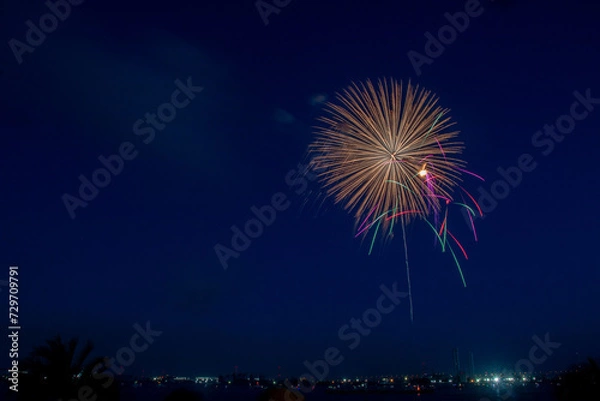 Fototapeta 海の日名古屋花火大会
