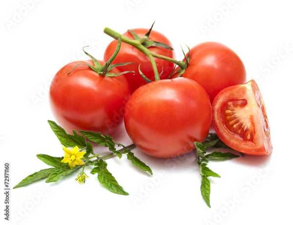 Obraz Tomatoes