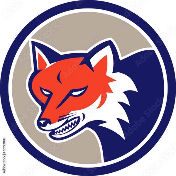 Obraz Red Fox Head Angry Circle Retro
