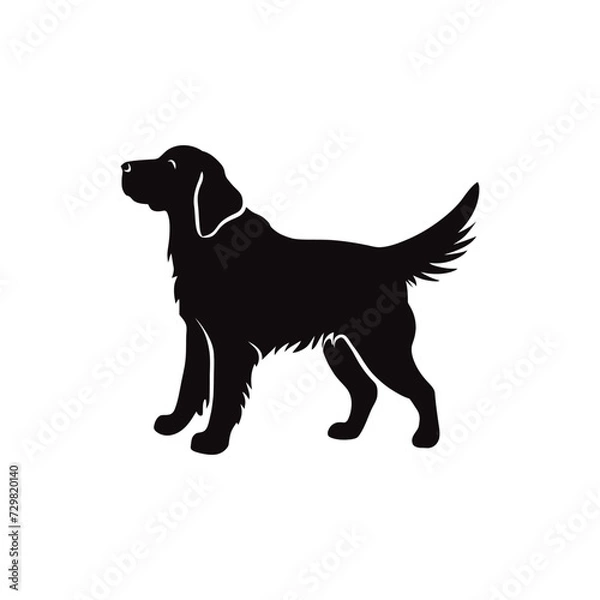Obraz Golden Retriever vector silhouette