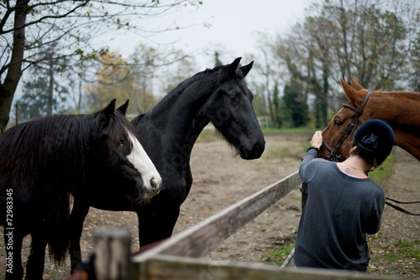 Obraz Equitazione che passione 6