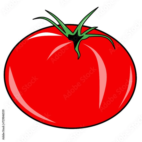 Fototapeta tomato illustration creative
