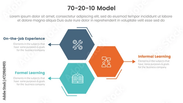 Fototapeta 70 20 10 model for learning development infographic 3 point stage template with honeycomb hexagon shape vertical direction for slide presentation