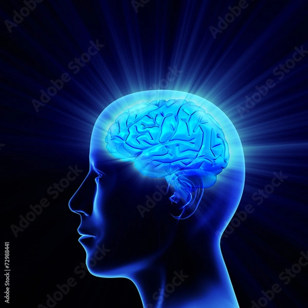 Fototapeta Man head with shining brain.