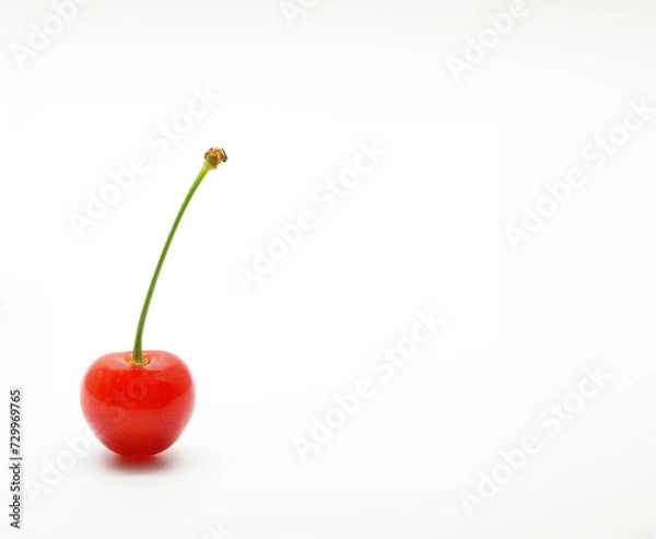 Obraz cherry on a white background