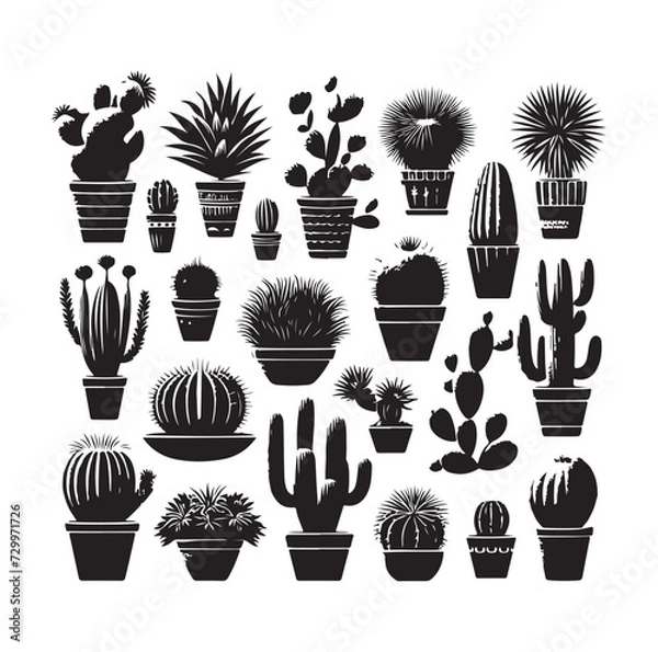 Fototapeta set different types of cactus vector