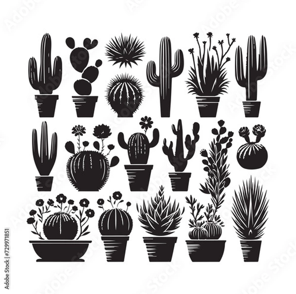 Obraz set different types of cactus vector