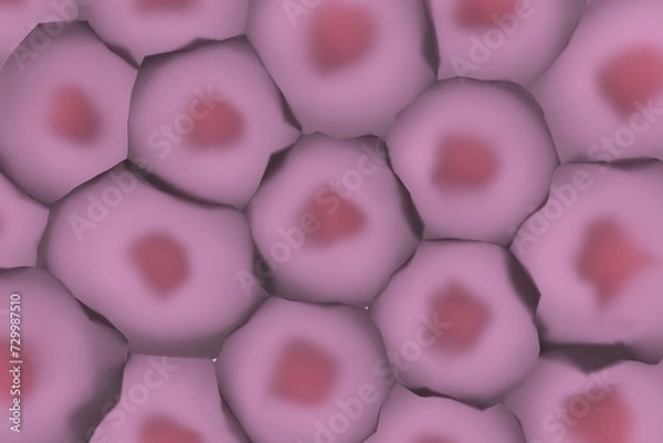 Obraz 複数の動物細胞のイメージ