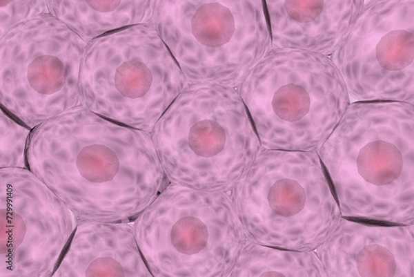 Obraz 複数の動物細胞のイメージ-ノイズ多め