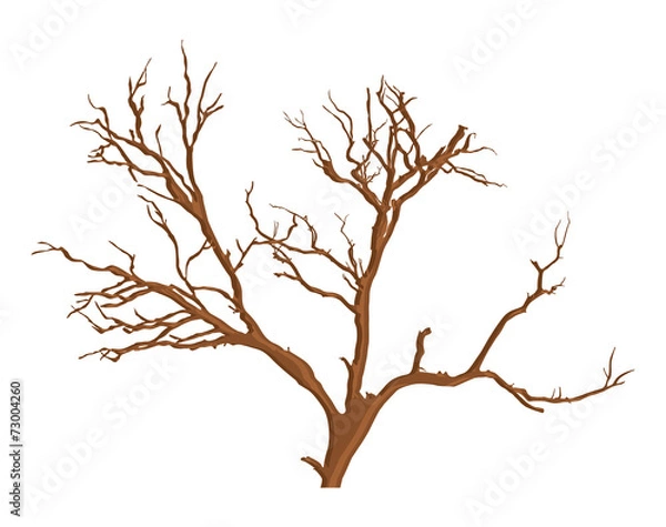 Obraz Spooky Dead Tree Vector
