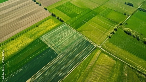Fototapeta Aerial top view of panorama seen from above of the plain with the cultivated fields divided into geometric shapes in spring background, copy space