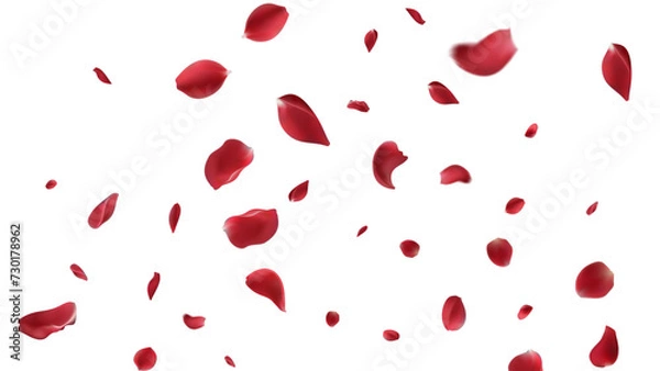 Obraz Realistic red rose petals with transparent background. Vector illustration