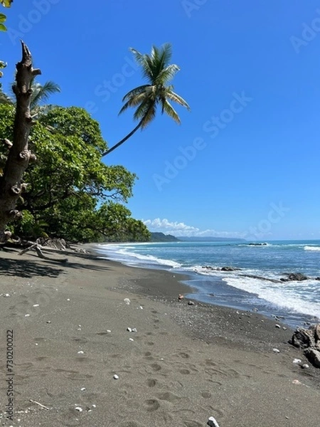 Obraz Sandy beach on ocean with blue sky and palm tree in Corcovado National Park, Costa Rica 