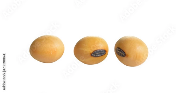 Obraz Dried  soybean on  transparent png