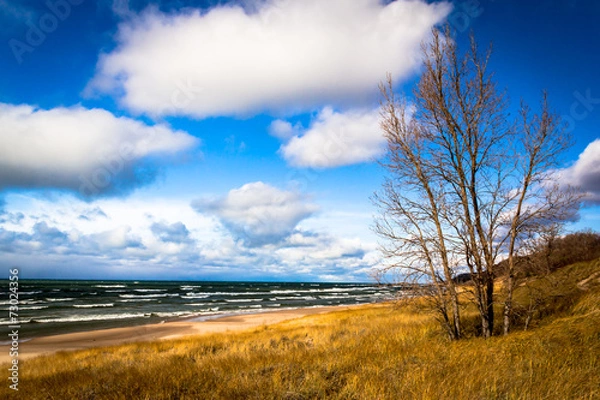 Fototapeta Autumn at Lake Michigan. Saugatuck Dunes State Park Beach. Lakeshore background with copy space.