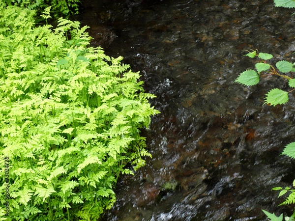 Fototapeta 弧を描く水の流れ
