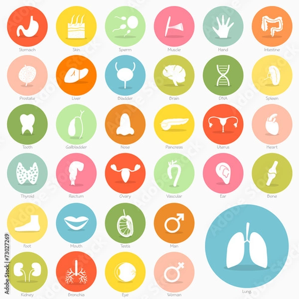 Obraz Body icon short shadow design, vector eps10