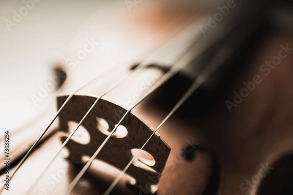 Fototapeta Close up shot of a violin,very soft def of field
