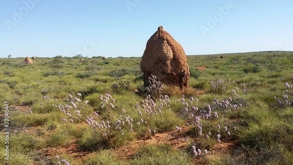Obraz Termitenhügel Termiten Bau