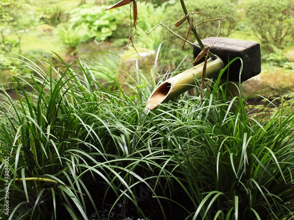 Fototapeta 緑に囲まれたつくばい