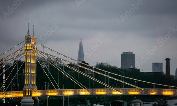 Obraz Albert Bridge night