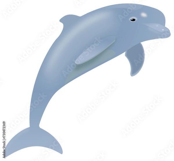 Obraz happy dolphin isolated on transparent vector