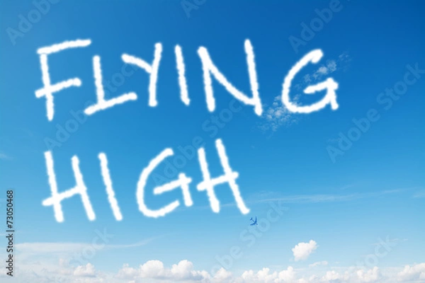 Obraz flying high in the sky