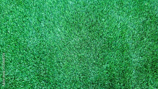 Fototapeta green grass background
