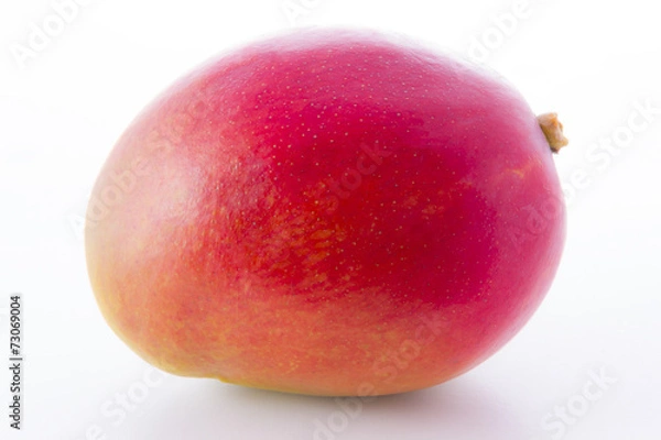 Obraz Mango fruit isolated on white background
