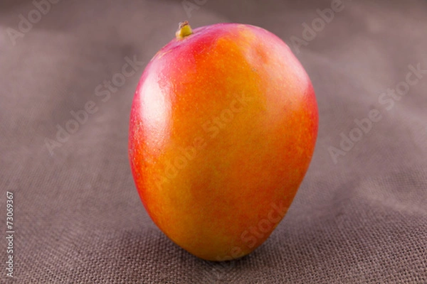 Obraz Mango fruit isolated on brown background