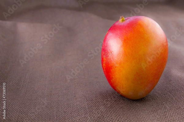 Obraz Mango fruit isolated on brown background