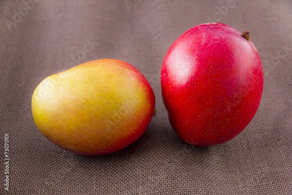 Obraz Mango fruit isolated on brown background