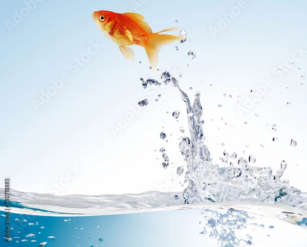 Fototapeta goldfish leaping